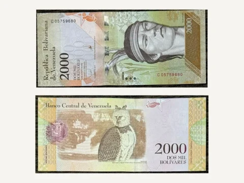 Venezuela 2000 Bolivares Banknote UNC 2016 Chief Guaicaipuro Harpy Eagle