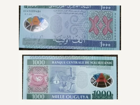 Mauritania 1000 Ouguiya Banknote UNC 2014 Camel Chinguetti Minaret