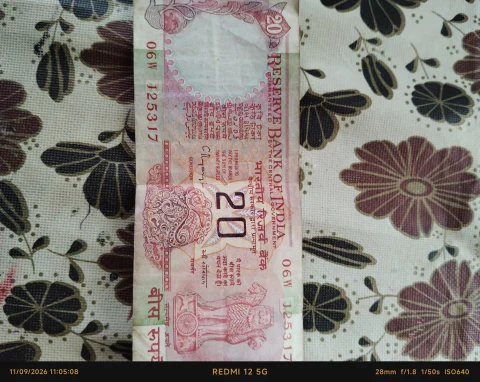 20rs Note